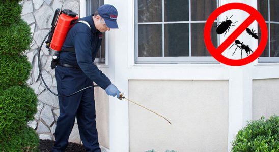 Söğüt Tahtakurusu İlaçlama böcek ilaçlama ve haşere kontrolü — ilaclama-tr.com
